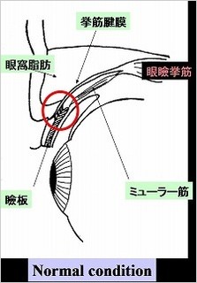 図1.jpg